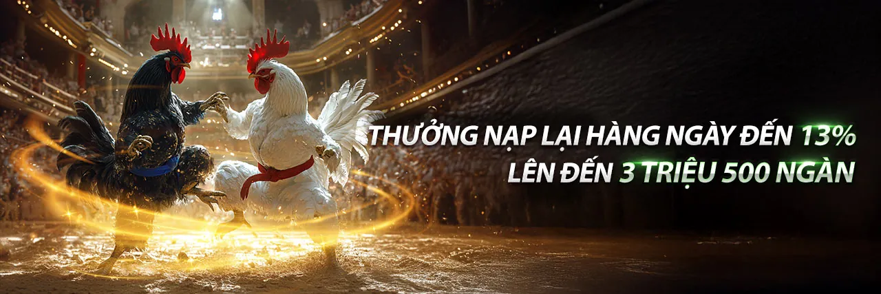 Đá Gà Thomo 8/2/2025 Win2026VN